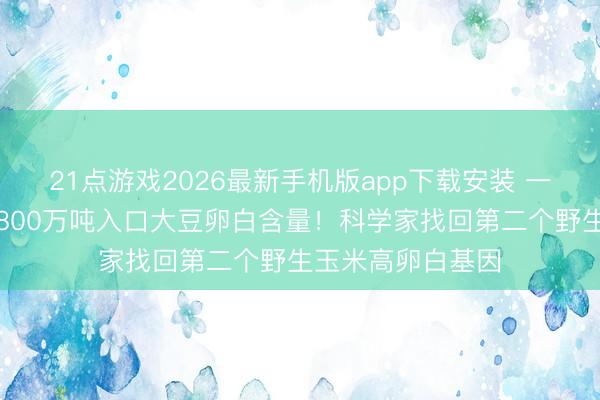 21点游戏2026最新手机版app下载安装 一个百分点约就是800万吨入口大豆卵白含量！科学家找回第二个野生玉米高卵白基因