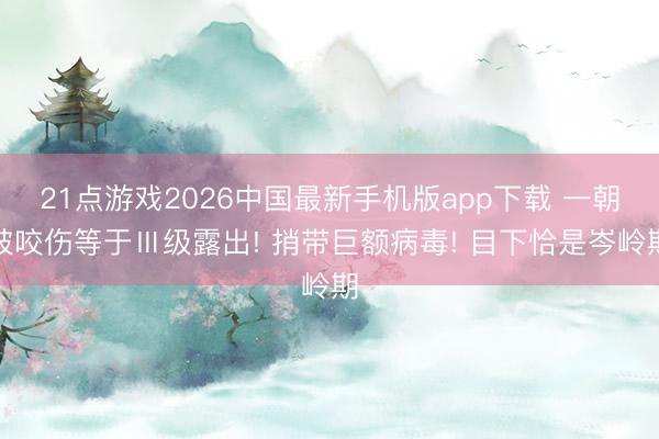 21点游戏2026中国最新手机版app下载 一朝被咬伤等于Ⅲ级露出! 捎带巨额病毒! 目下恰是岑岭期